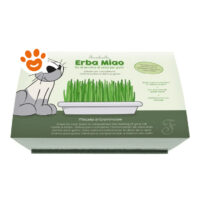 Confezione Erba Miao, kit di erba per gatti