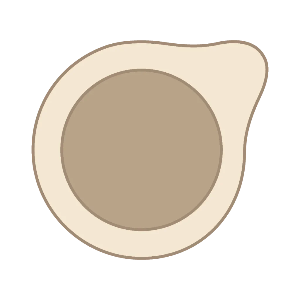 Illustrazione minimalista di mezzo avocado con grande nocciolo