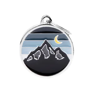 Medaglia argentata con montagne, lago e luna crescente