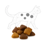 DIETETICI Gatto stilizzato bianco con crocchette per animali