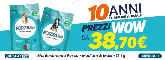 Offerta Forza10 Maintenance pesce per cani, 12 kg
