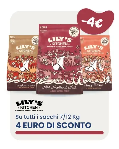 Sconti su sacchi Lily's Kitchen per cani
