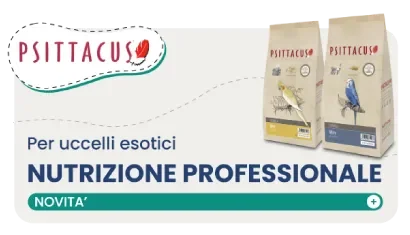 Psittacus: nutrizione professionale per uccelli esotici