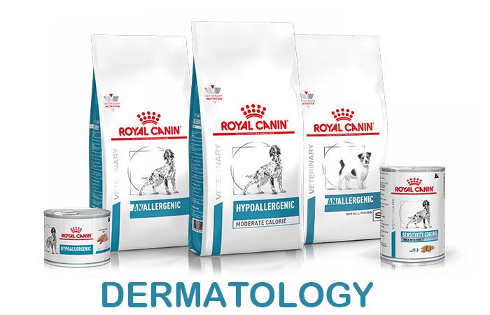 banner-shop-derma-cane