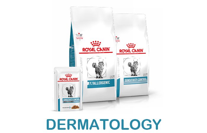banner-shop-derma-gatto