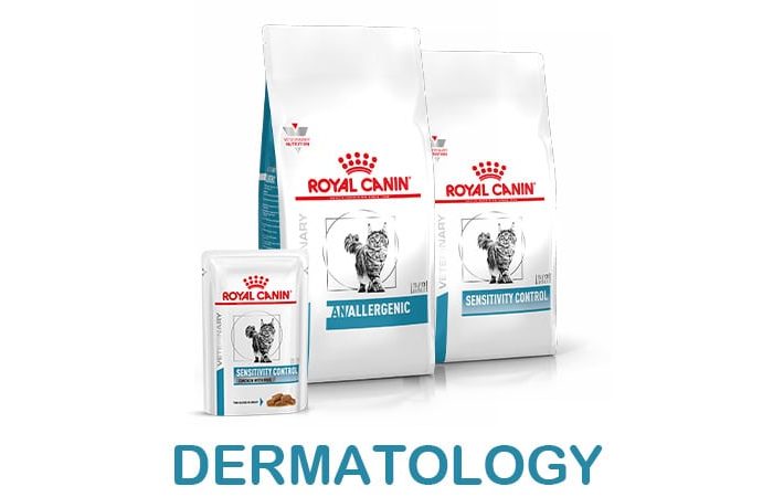 banner-shop-derma-gatto