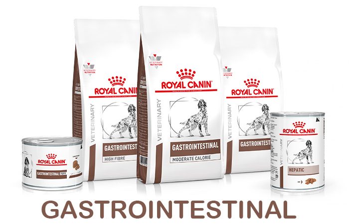 banner-shop-gastro-cane