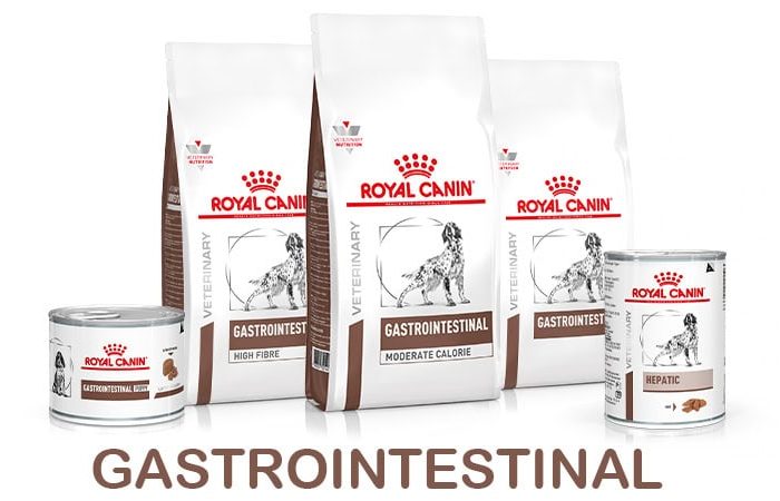 banner-shop-gastro-cane