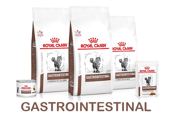 banner-shop-gastro-gatto