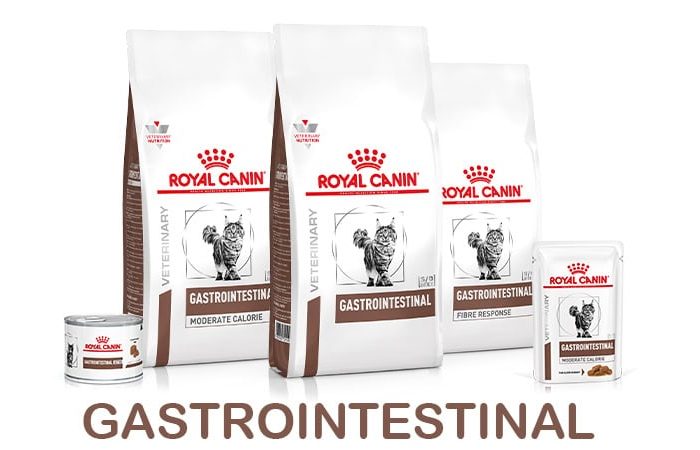 banner-shop-gastro-gatto