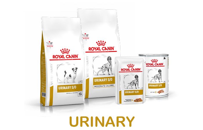 banner-shop-urinary-cane-3