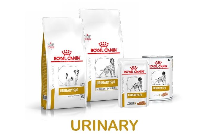 banner-shop-urinary-cane-3