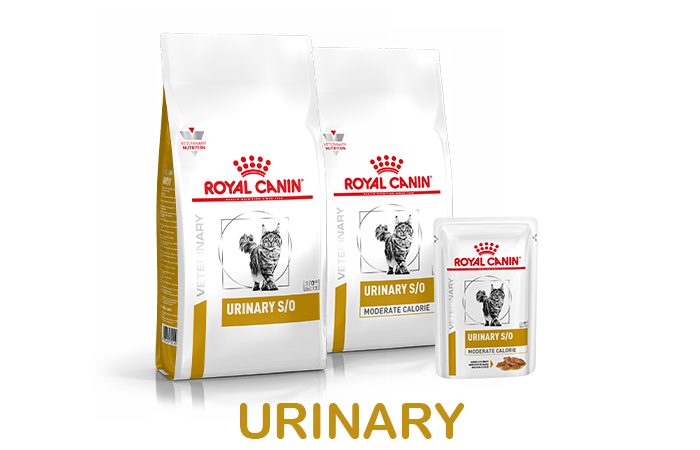 banner-shop-urinary-gatto