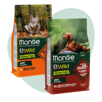Sacchi di crocchette Monge BWild Grain Free