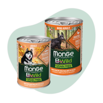 Lattine Monge BWild Grain Free per cani