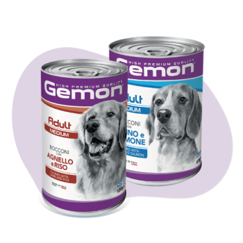 Due lattine di cibo per cani Gemon Adult