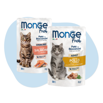 Buste Monge Fresh cibo umido per gatti