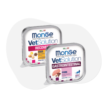 Vaschette Monge VetSolution dieta veterinaria per gatti
